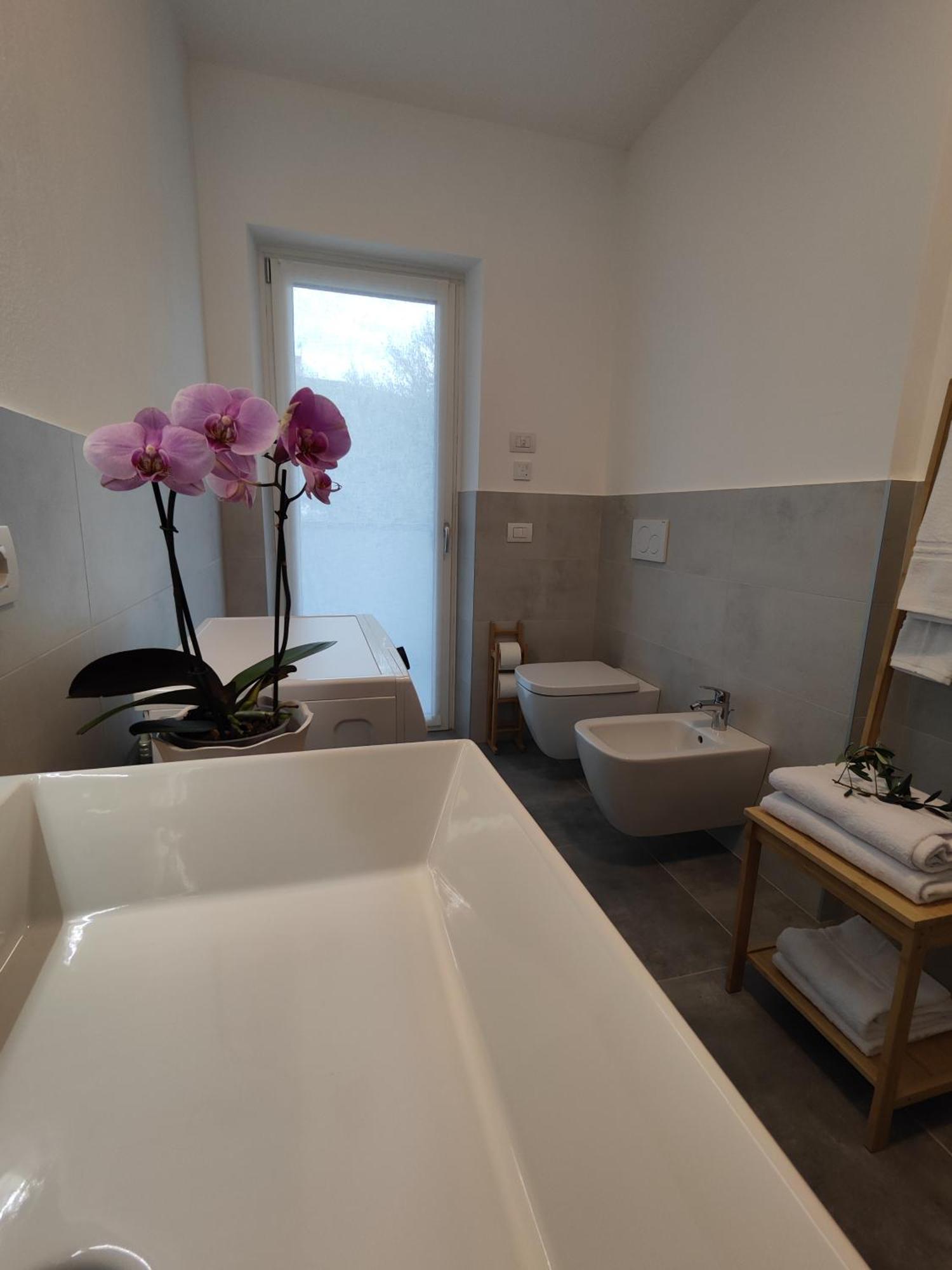 Oasi Degli Ulivi Apartment Рива дел Гарда Екстериор снимка