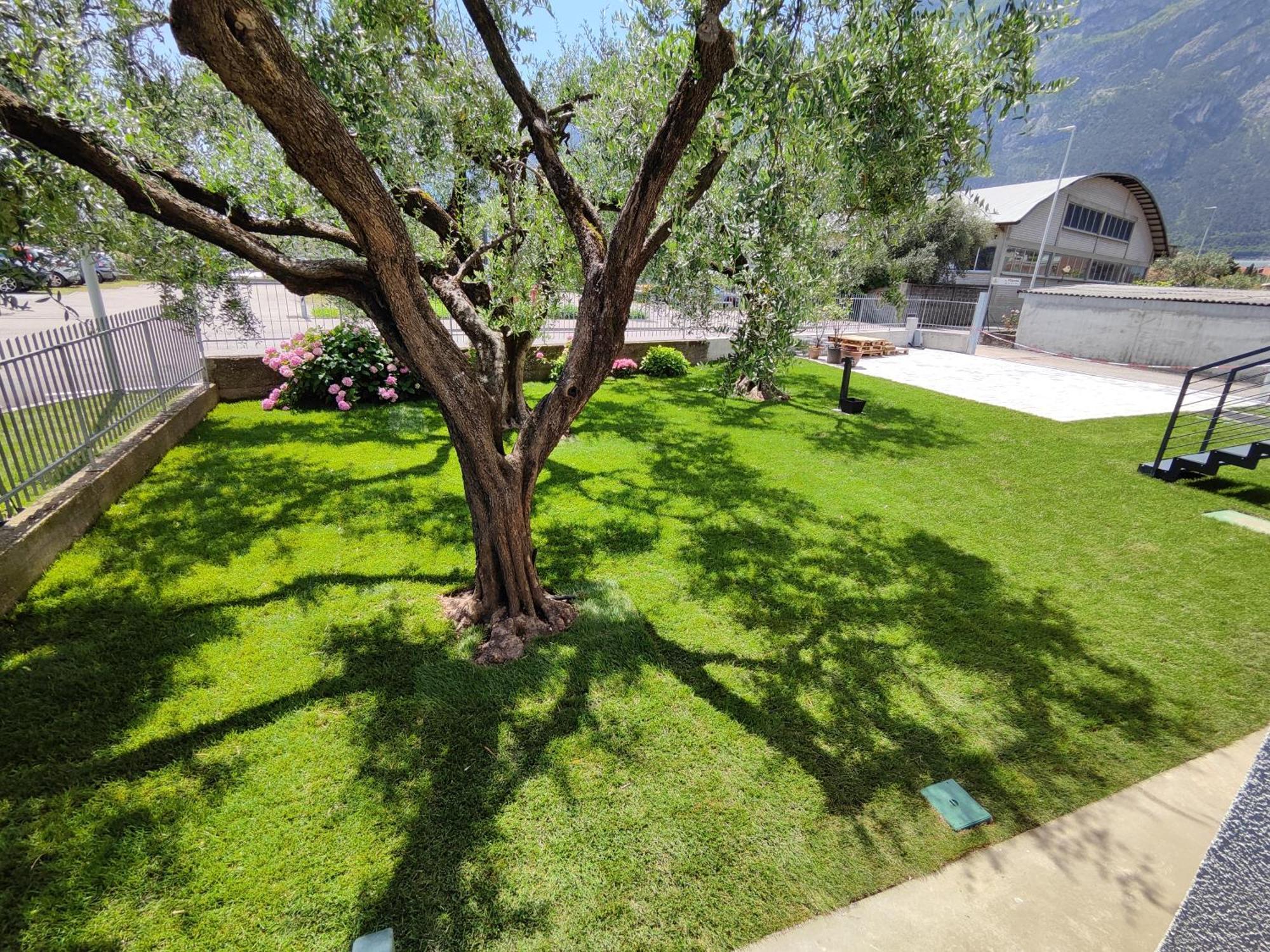Oasi Degli Ulivi Apartment Рива дел Гарда Екстериор снимка
